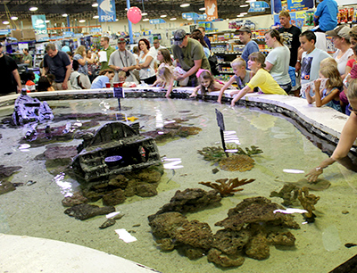 Join us for a Touch Tank Feeding Show- Saturdays at 3pm!